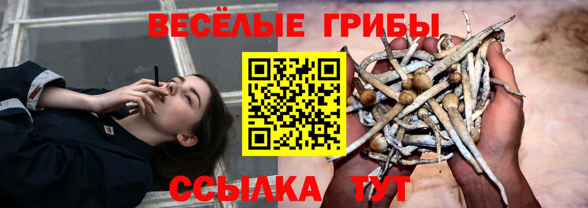 Псилоцибиновые грибы Cubensis  Вход с VPN  Псилоцибиновые грибы Magic Shrooms  наркота  Фурманов 